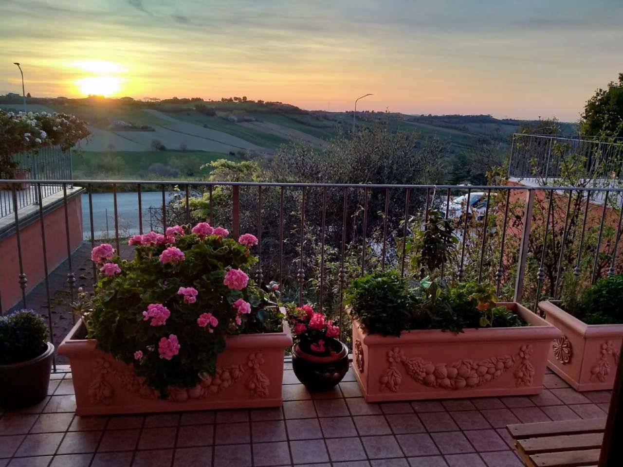 Terrazzo