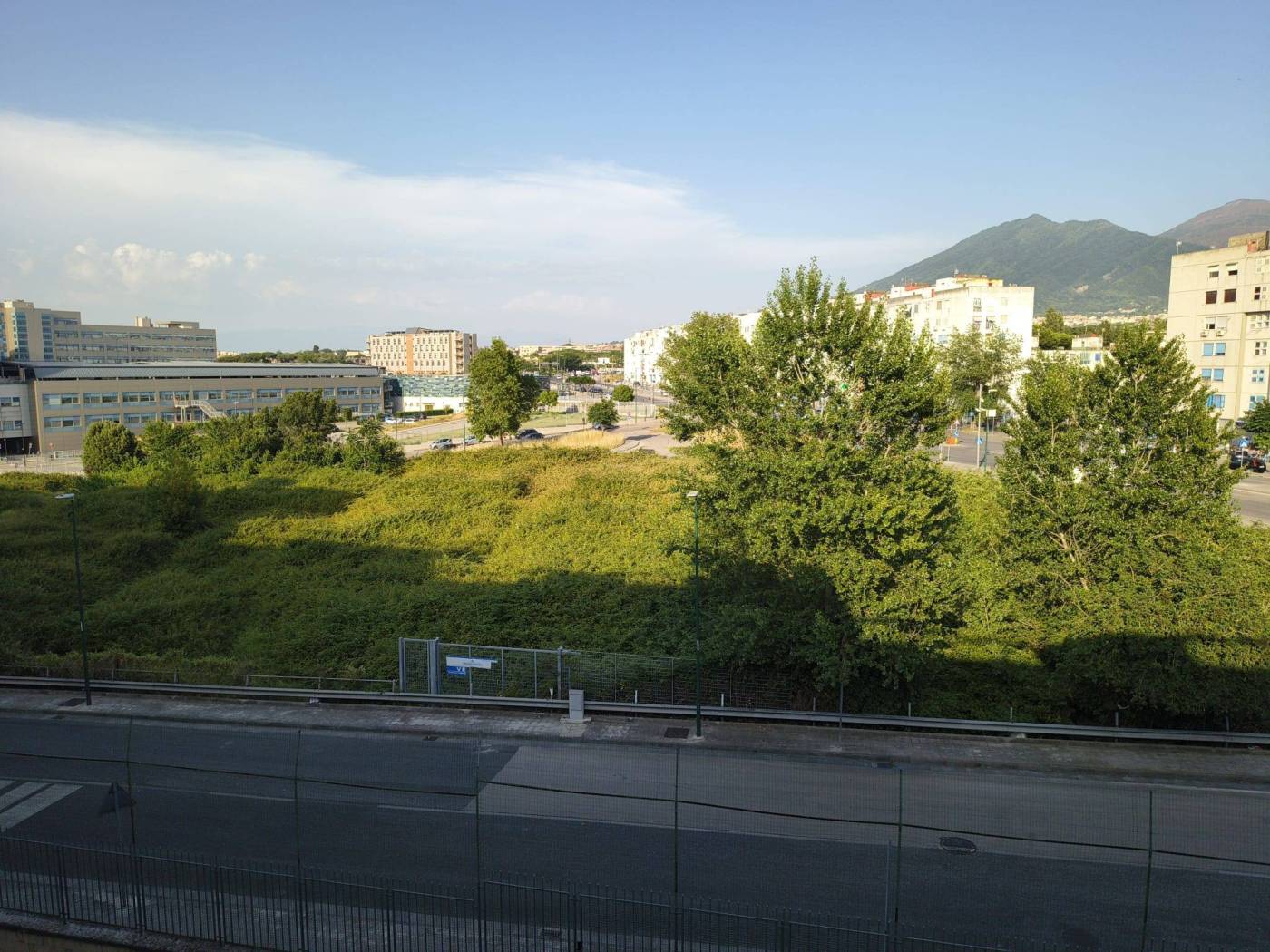 Vista