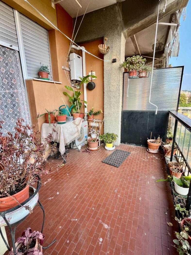Terrazzo