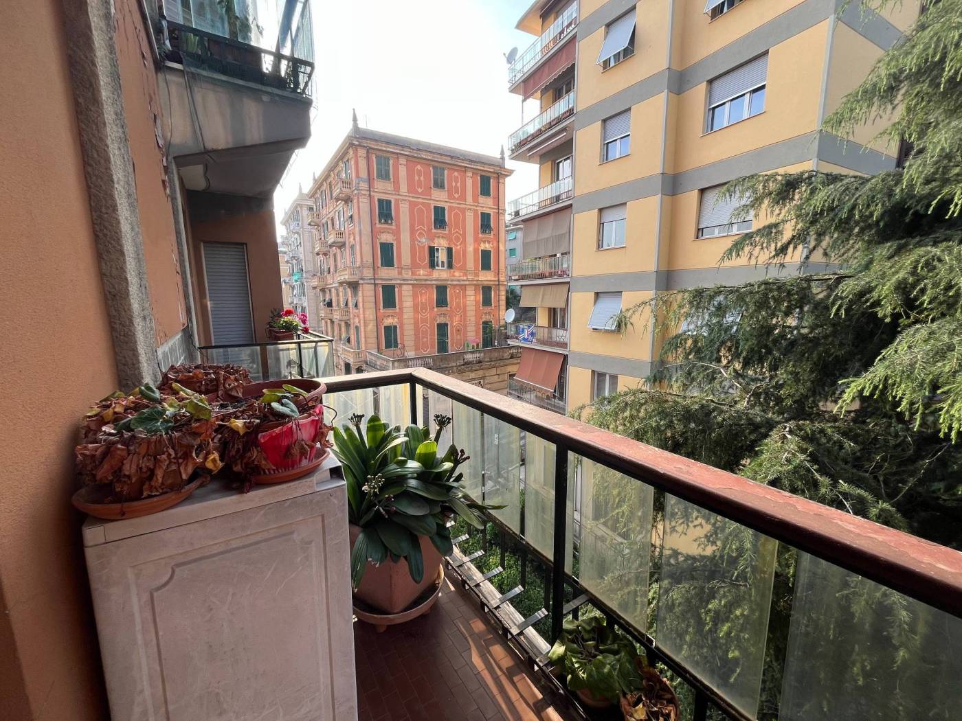 Balcone