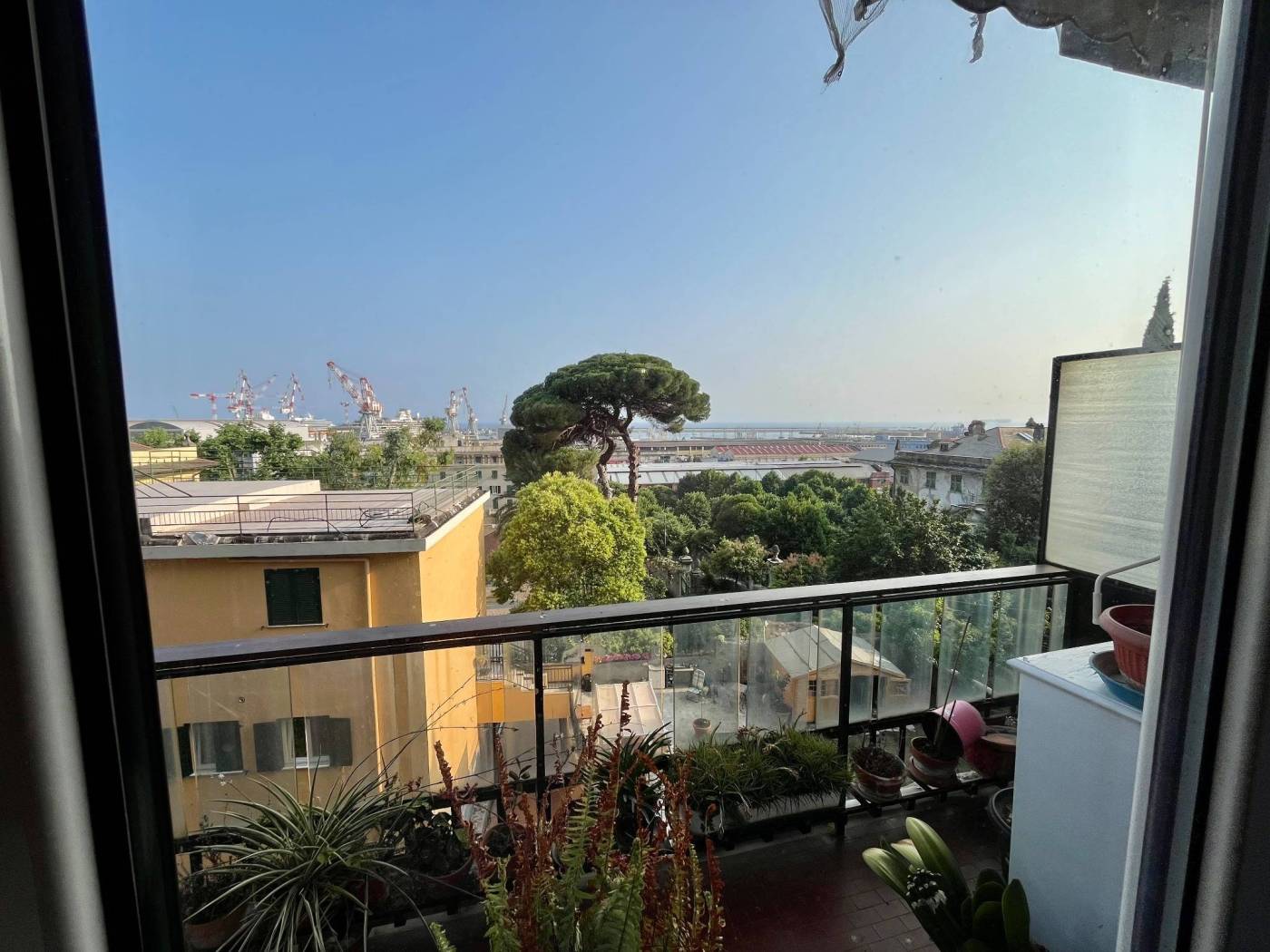Vista