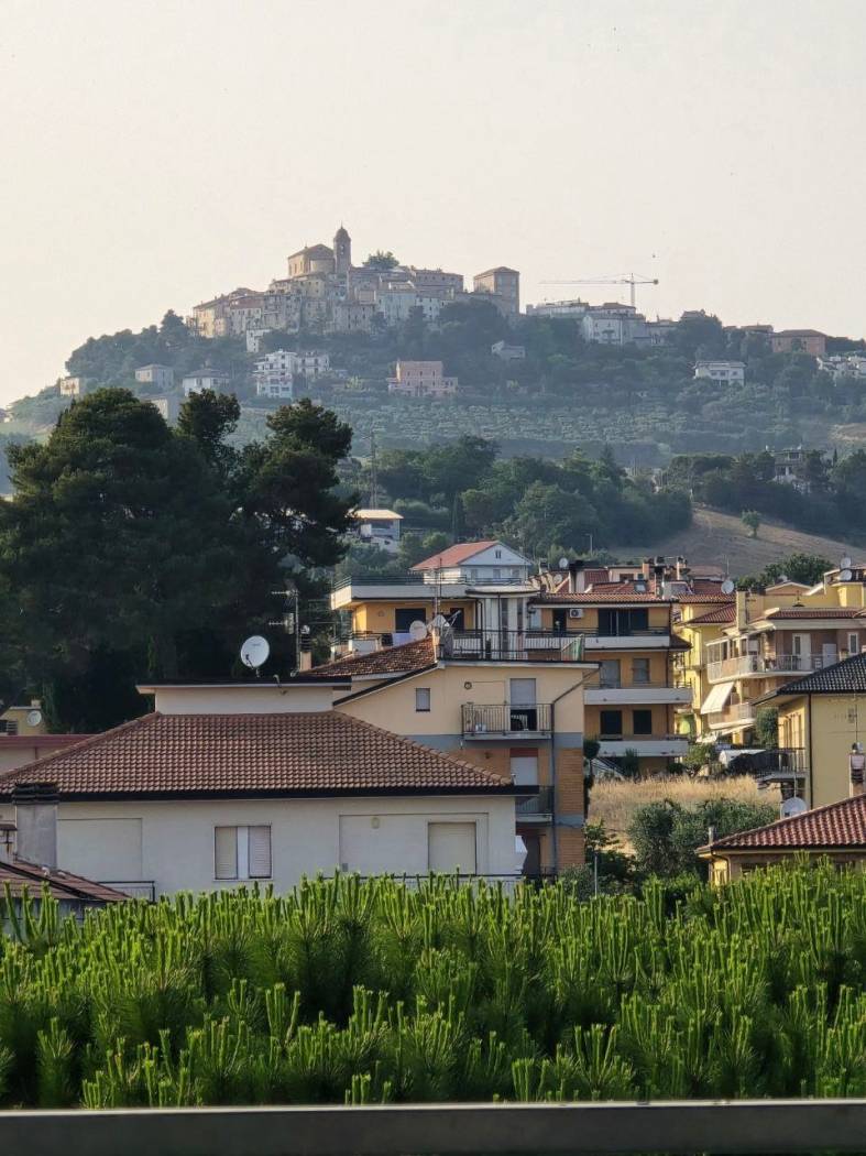 Vista