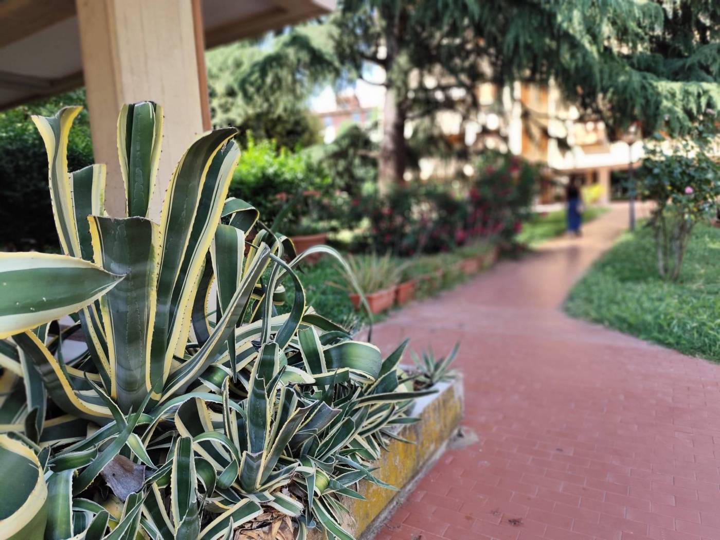 Giardino