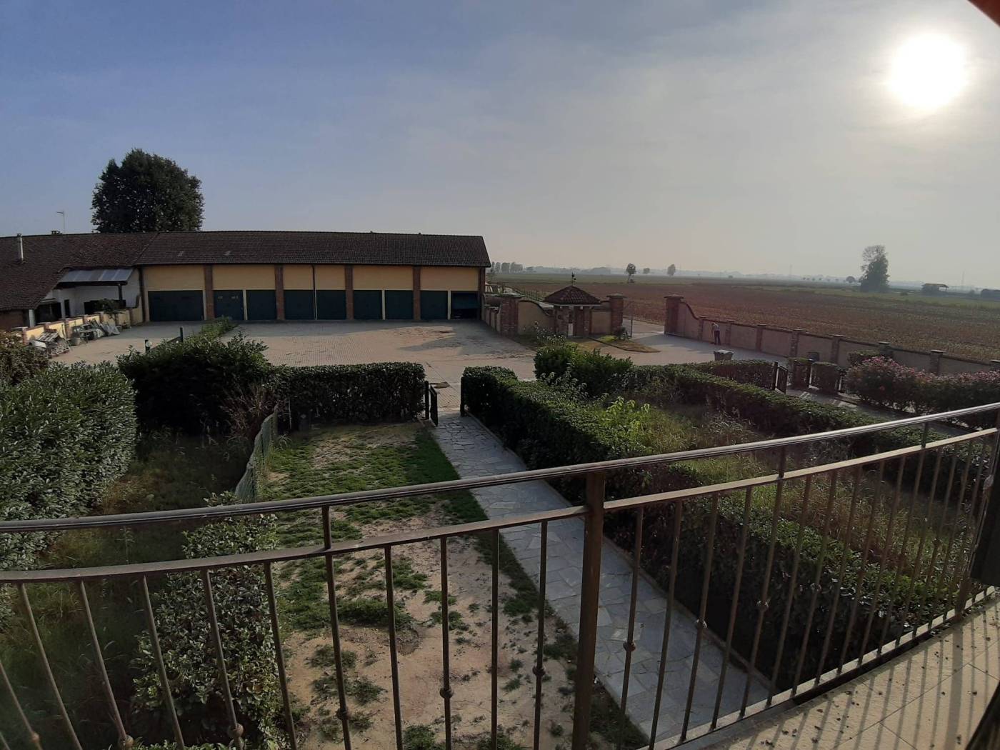 Vista