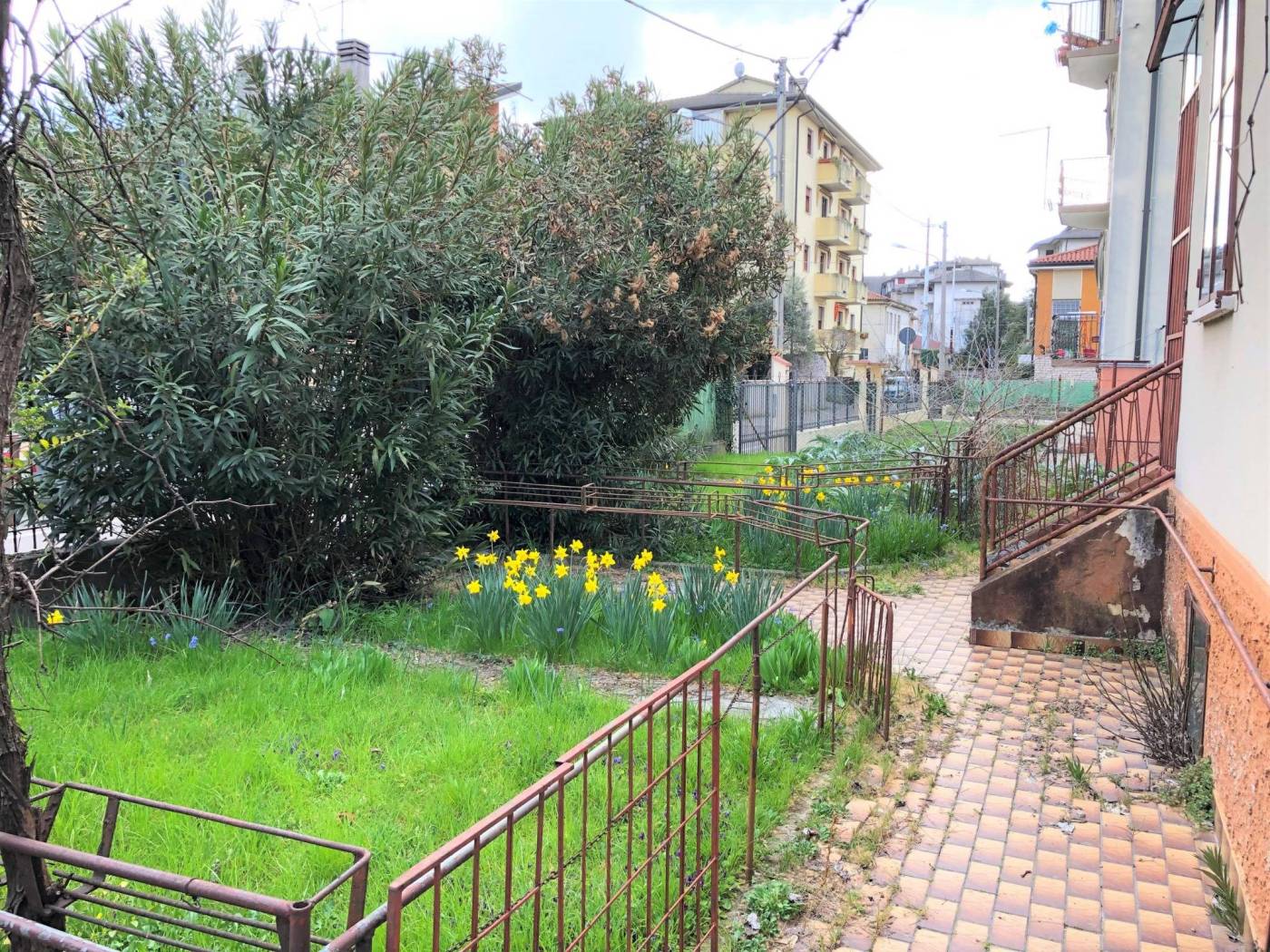 Giardino