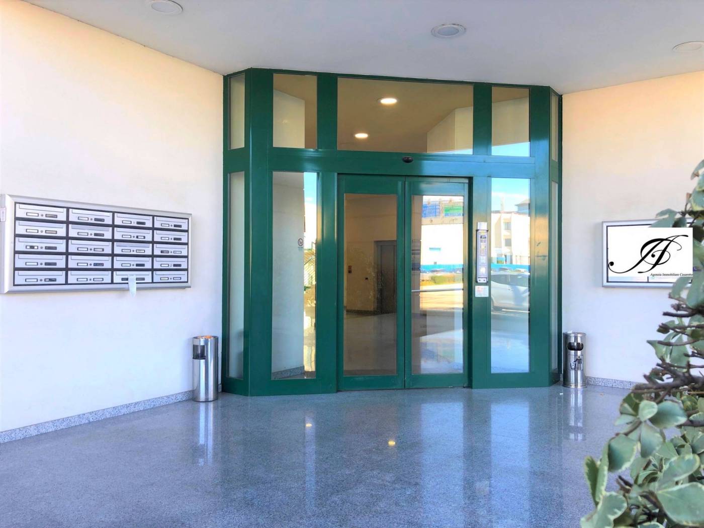 Ingresso