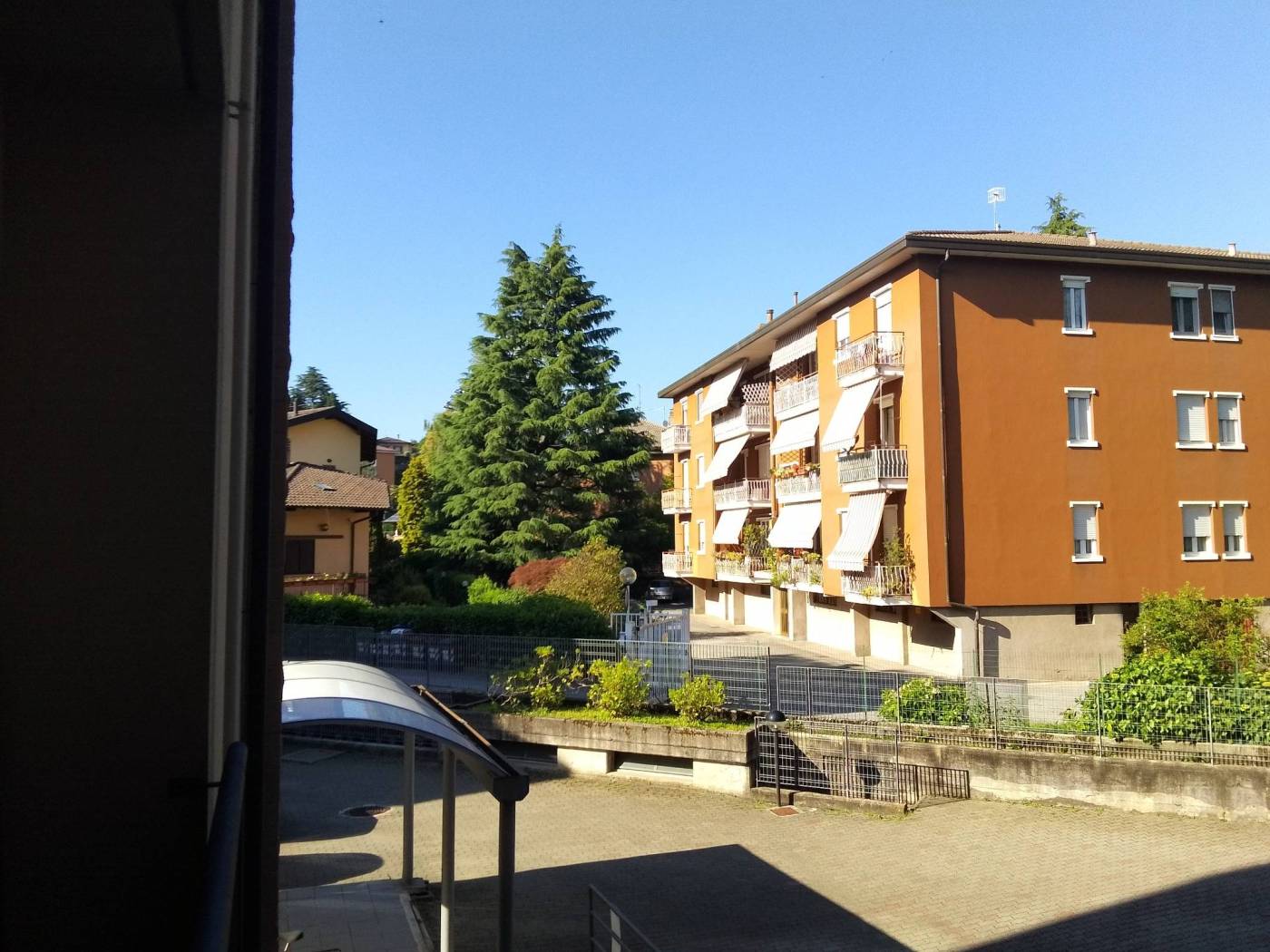Vista