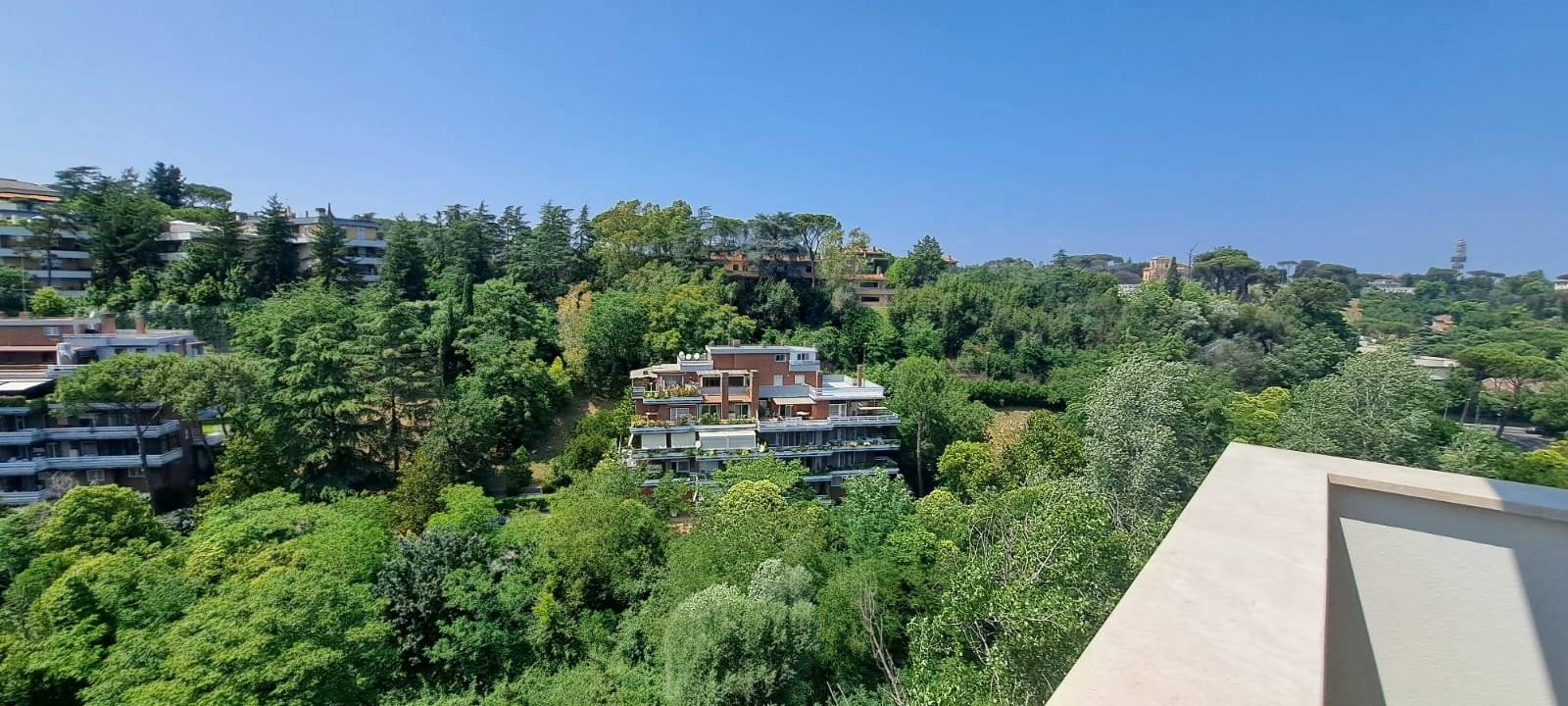 Vista