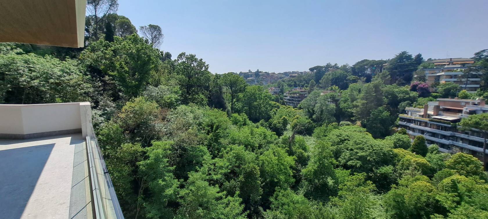 Vista