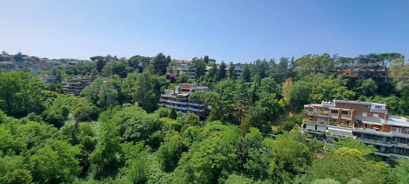 Vista