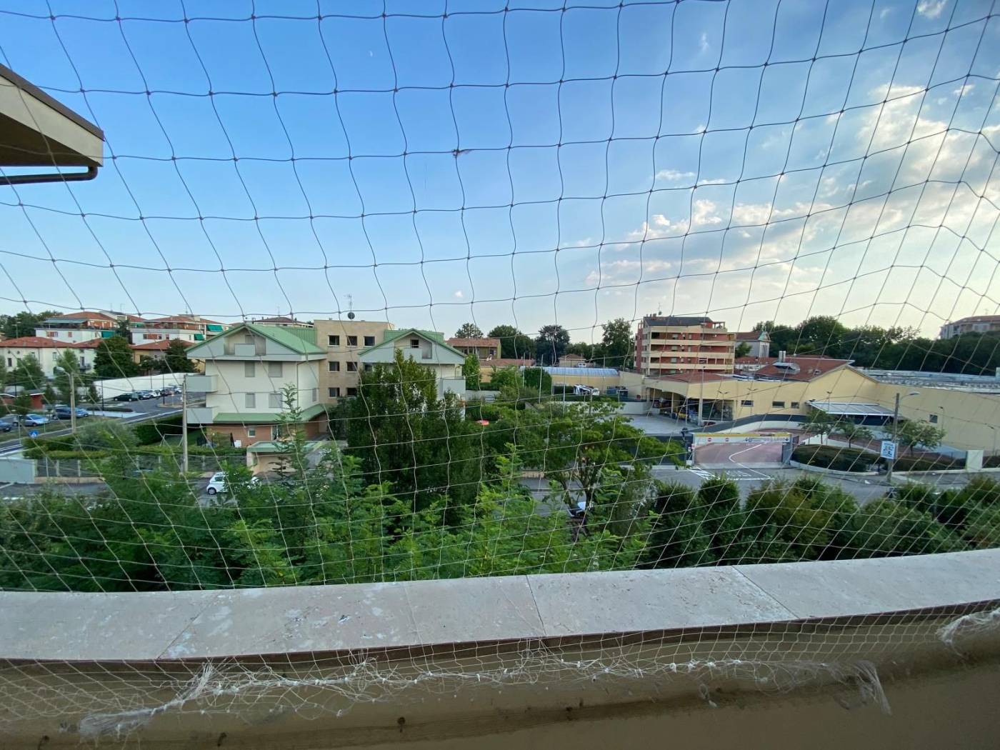 Vista