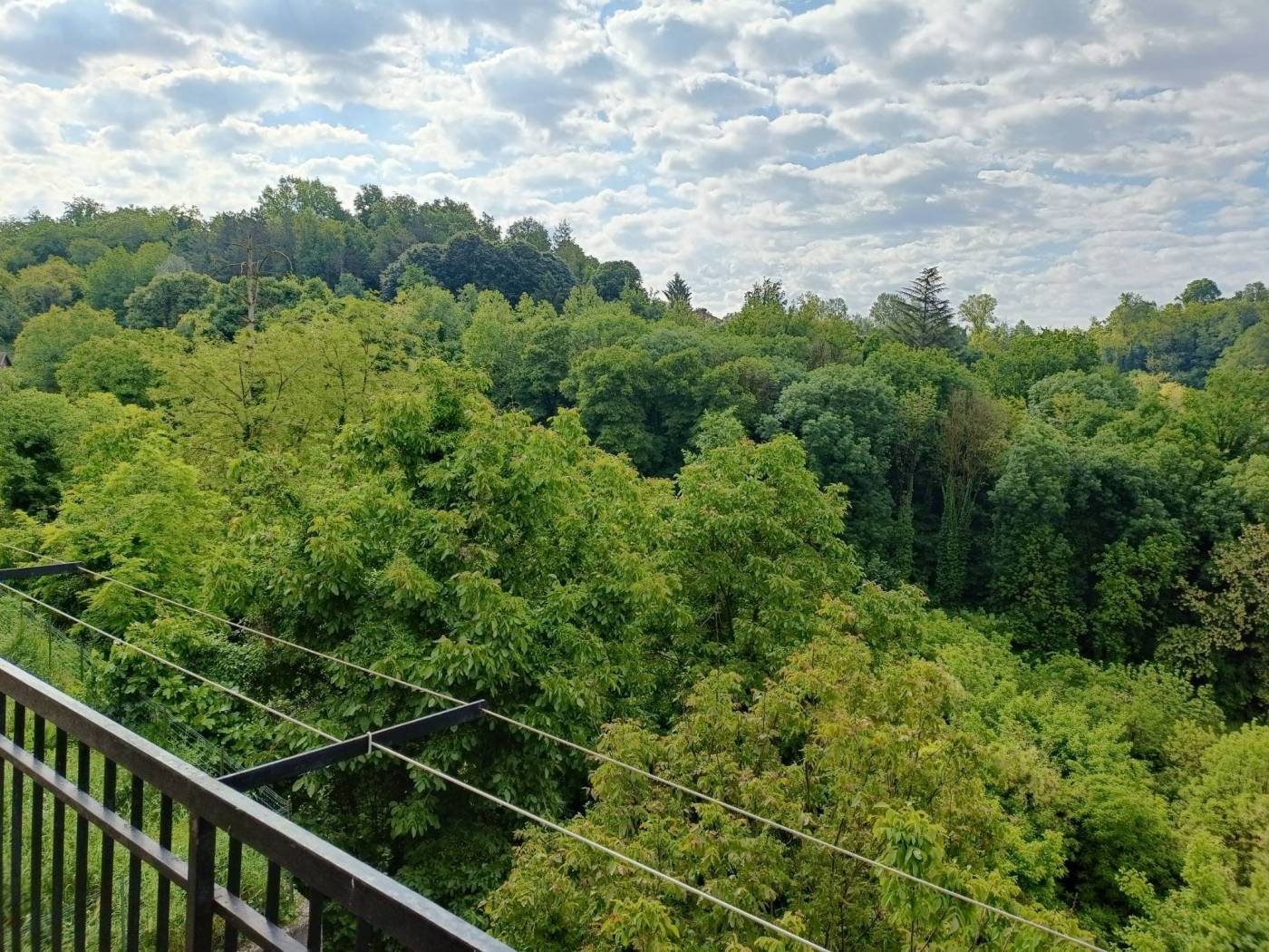 Vista