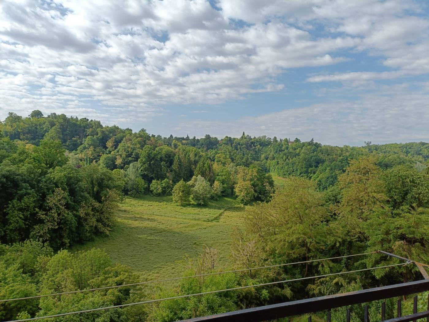 Vista