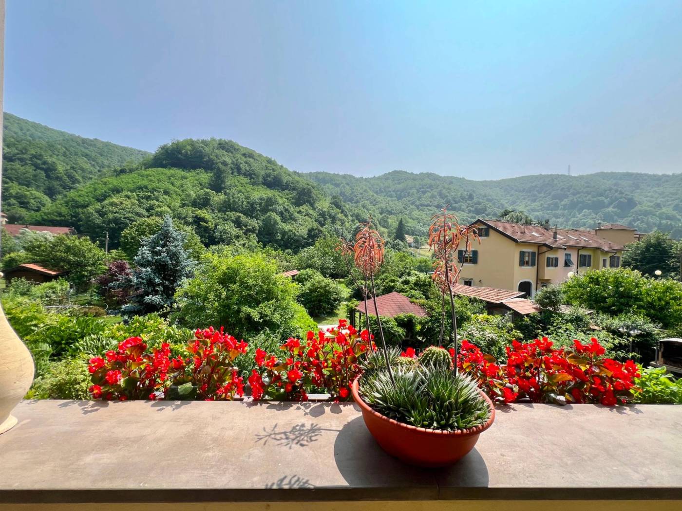 Vista