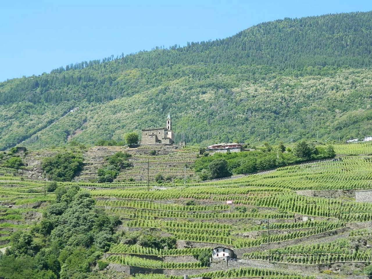 Terreno
