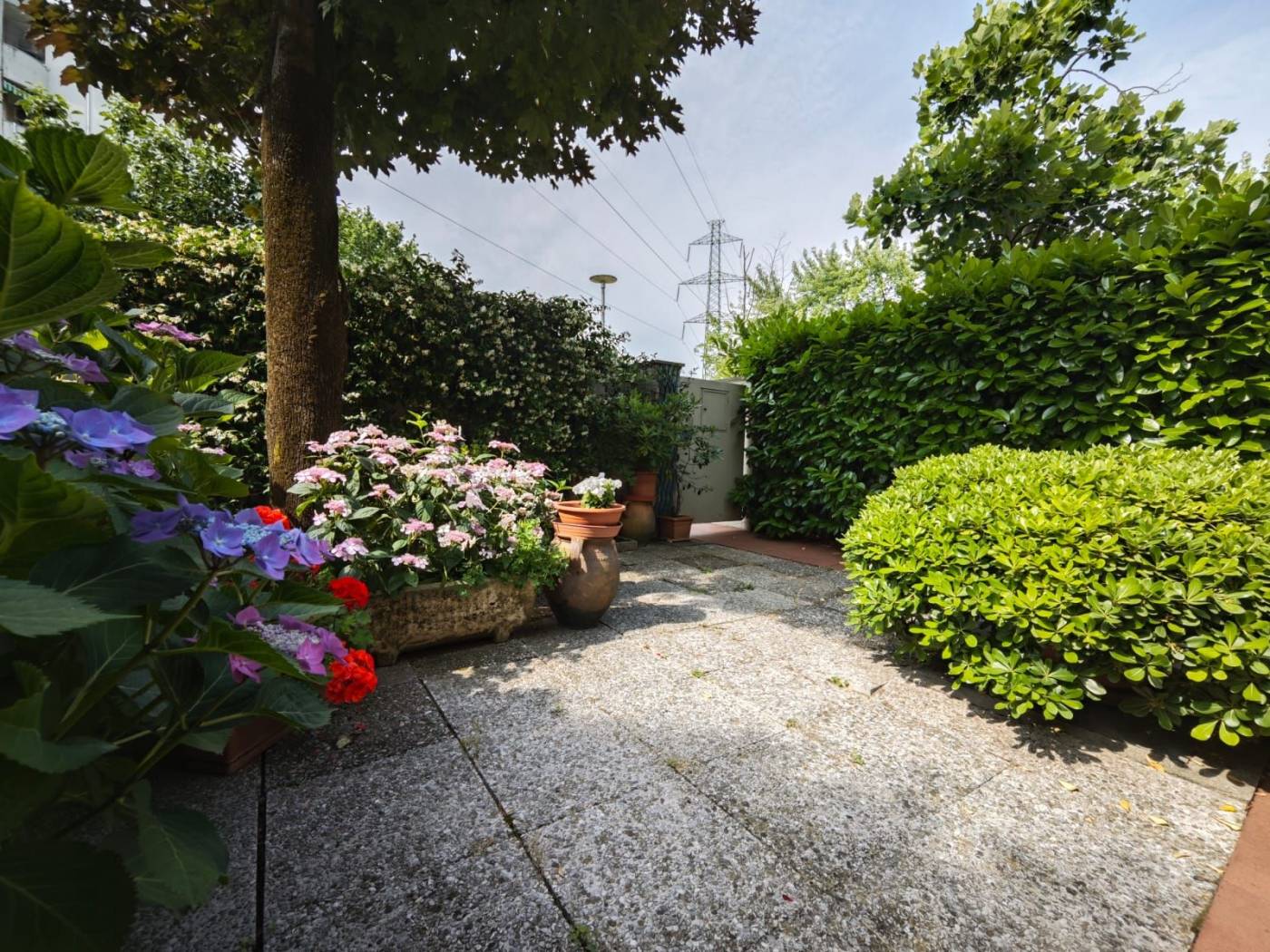 Giardino