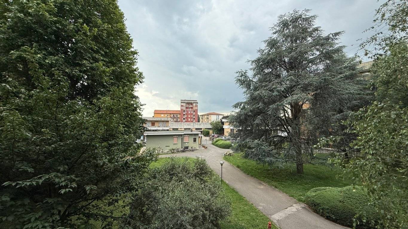 Vista
