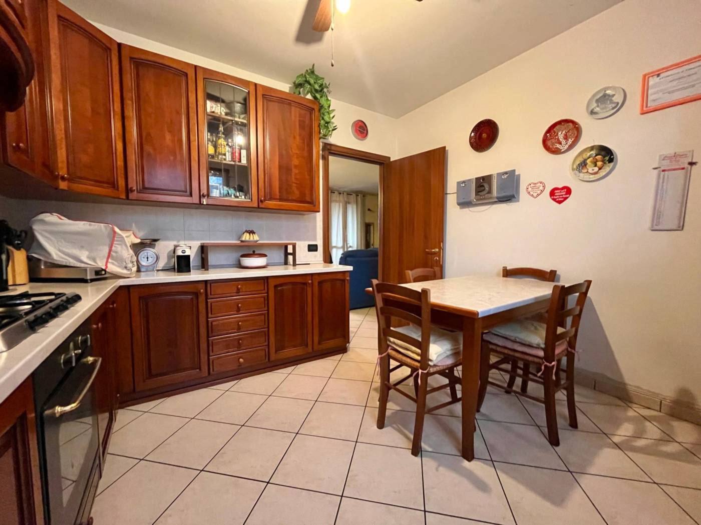 Cucina Cucina