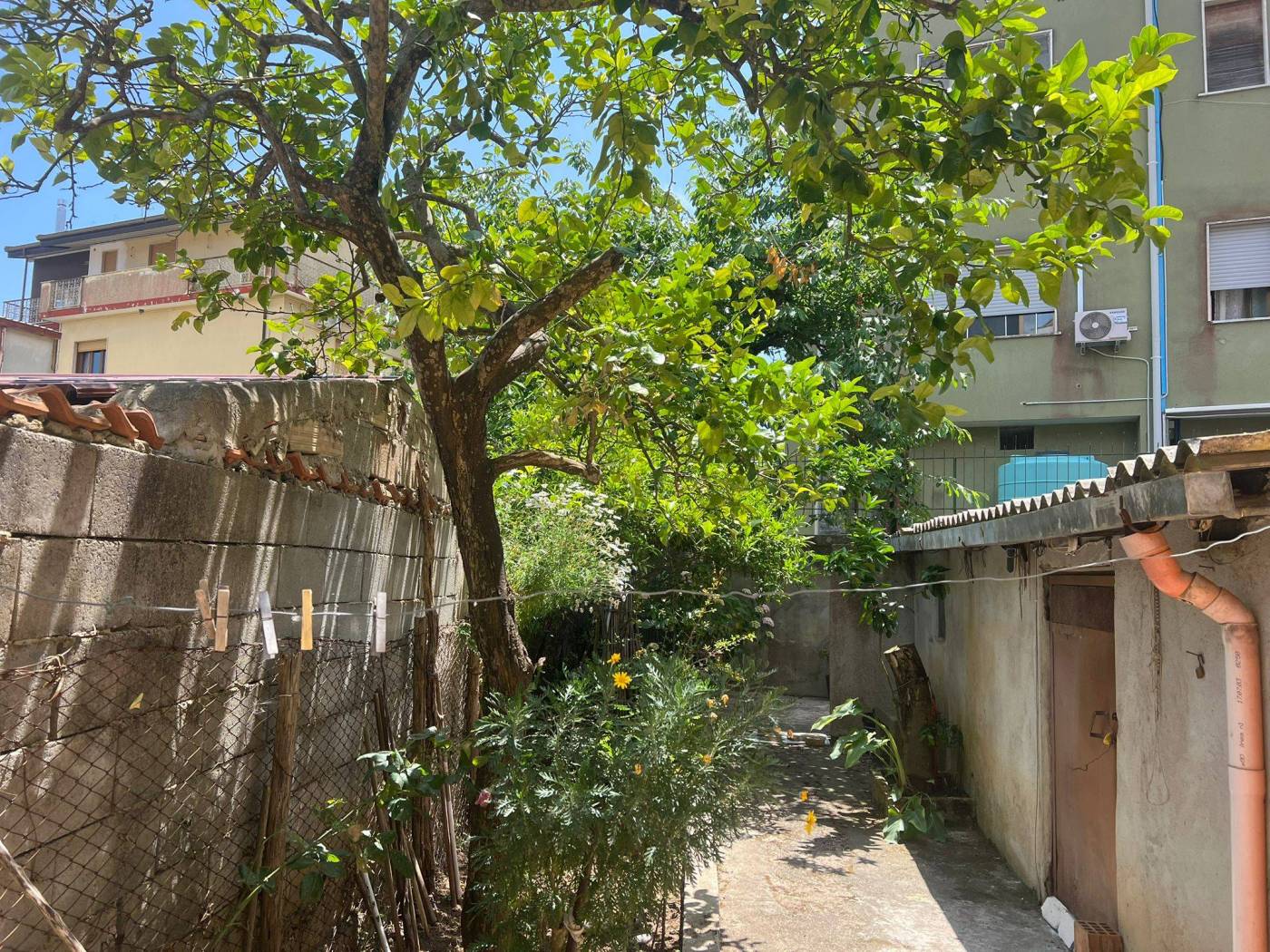 Giardino