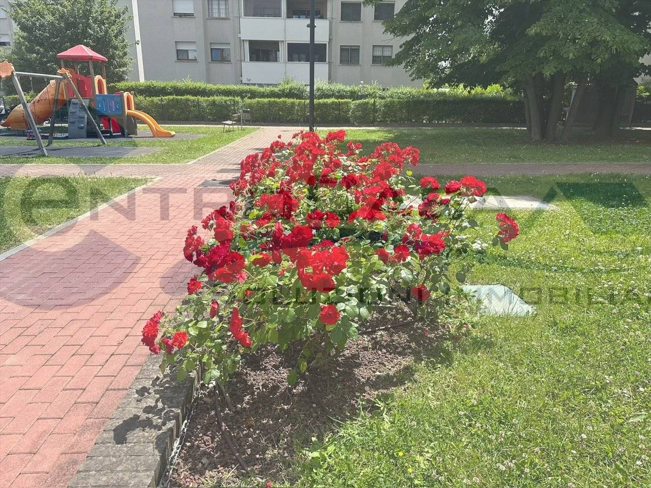 Giardino