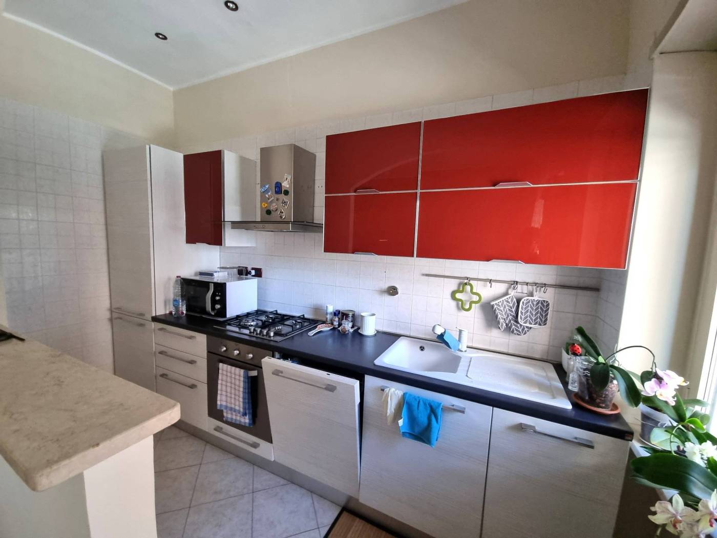 Cucina