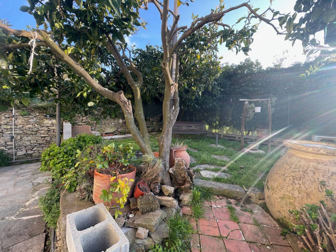 Terreno