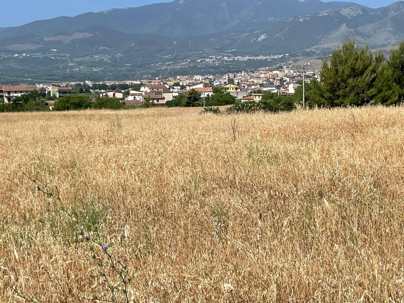 Terreno
