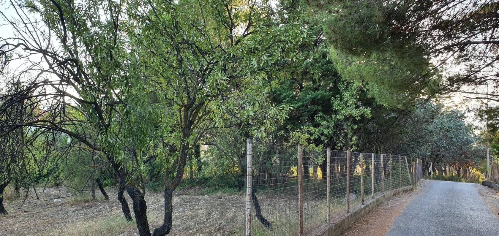 Terreno