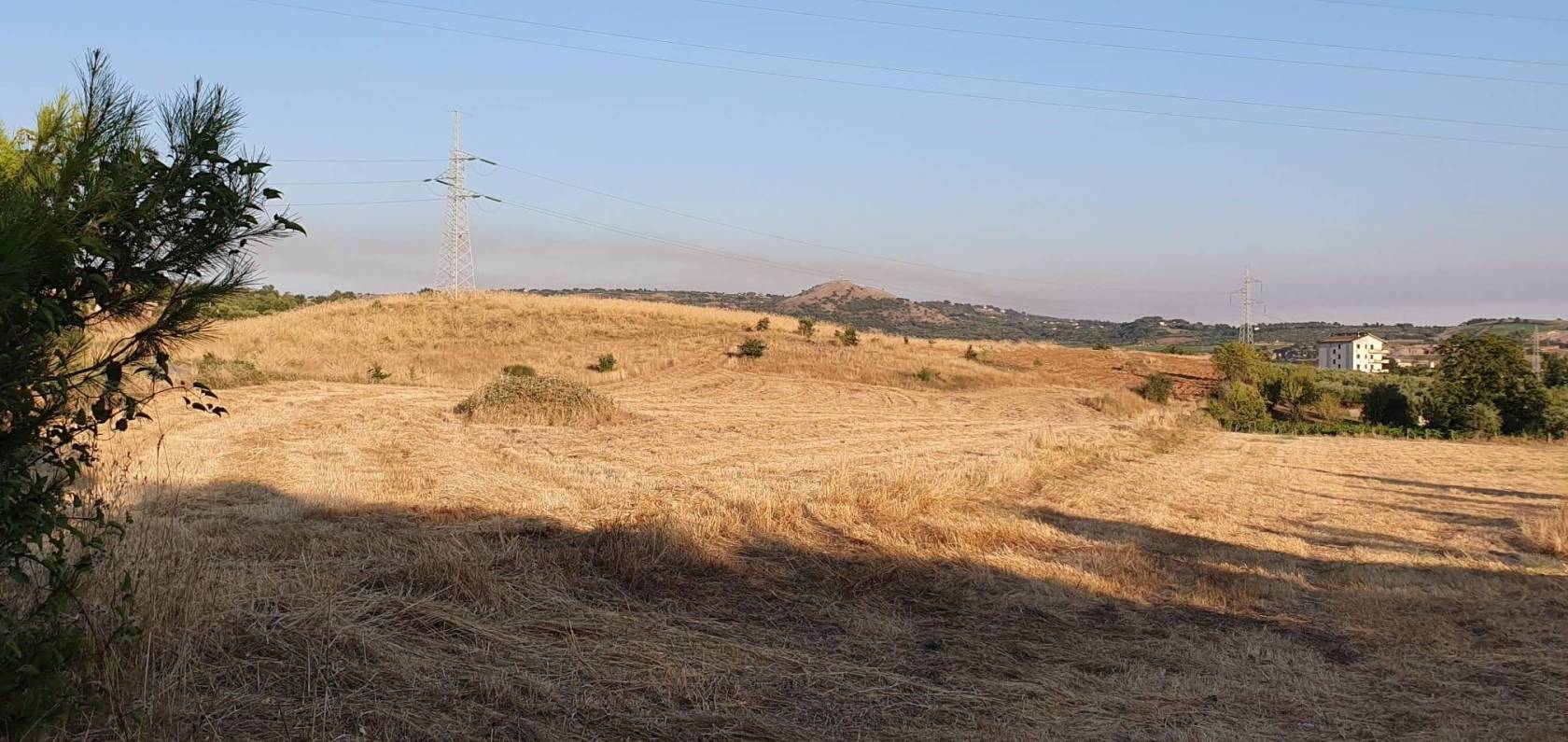 Terreno