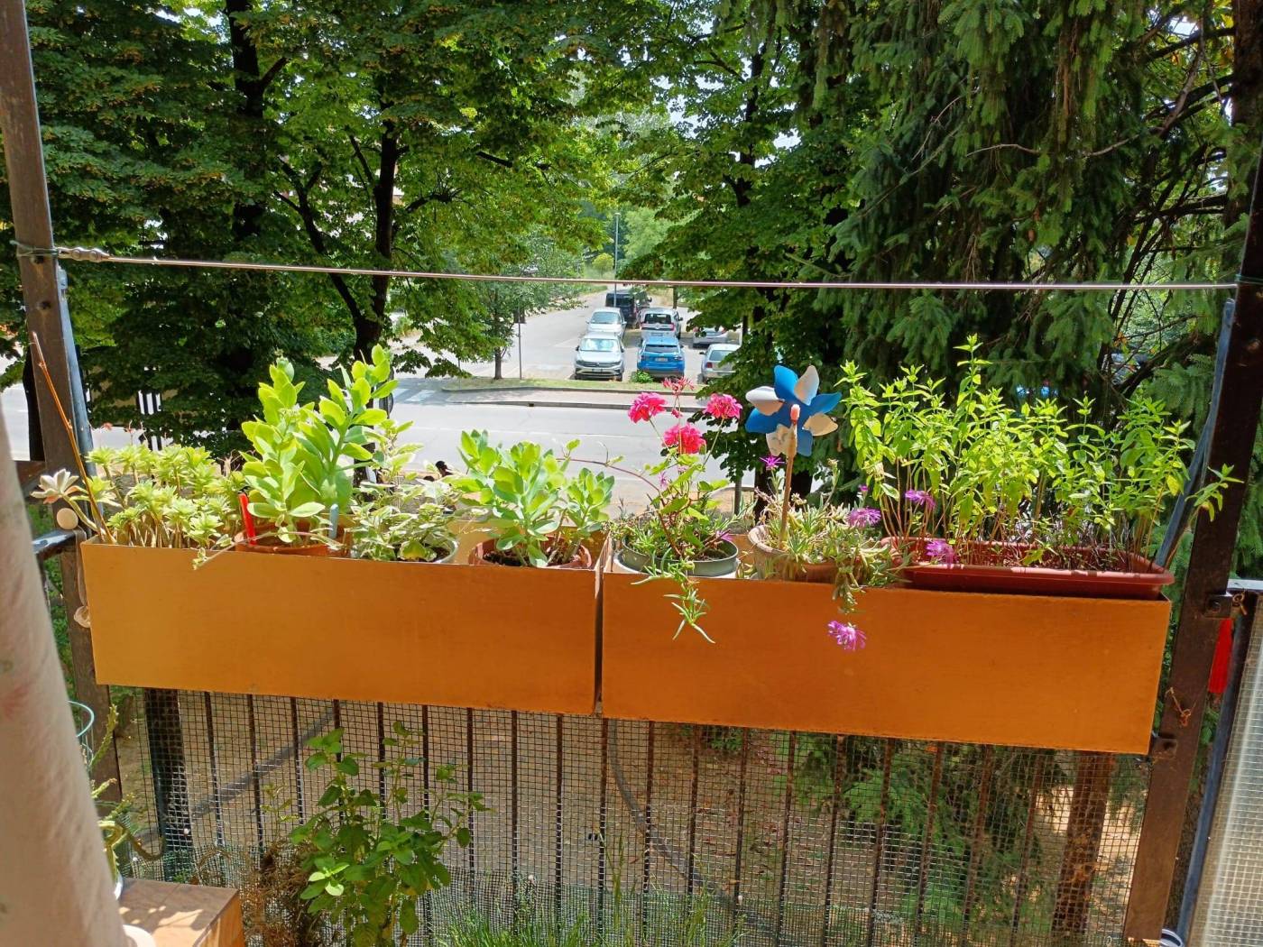 Balcone