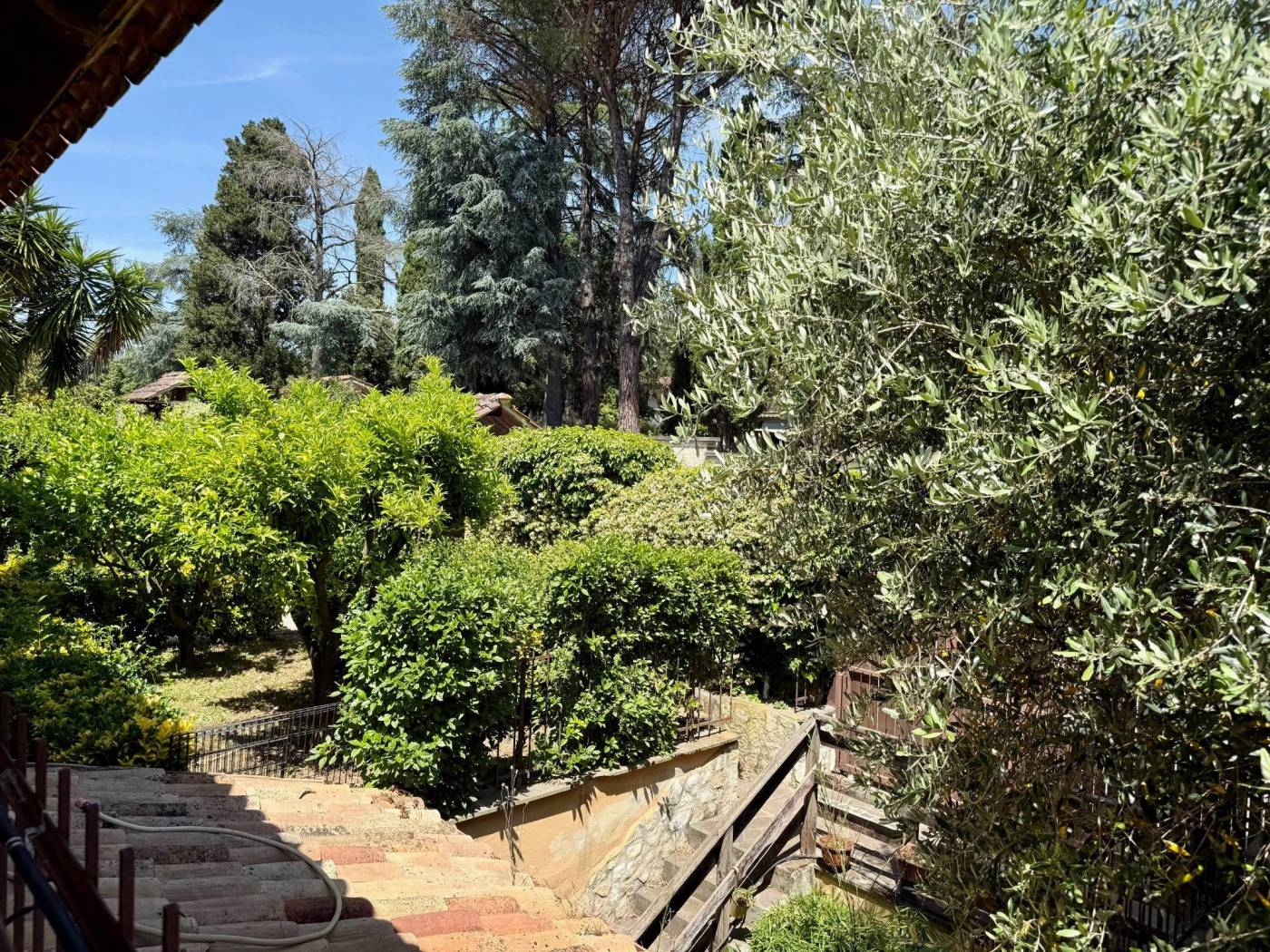 Giardino