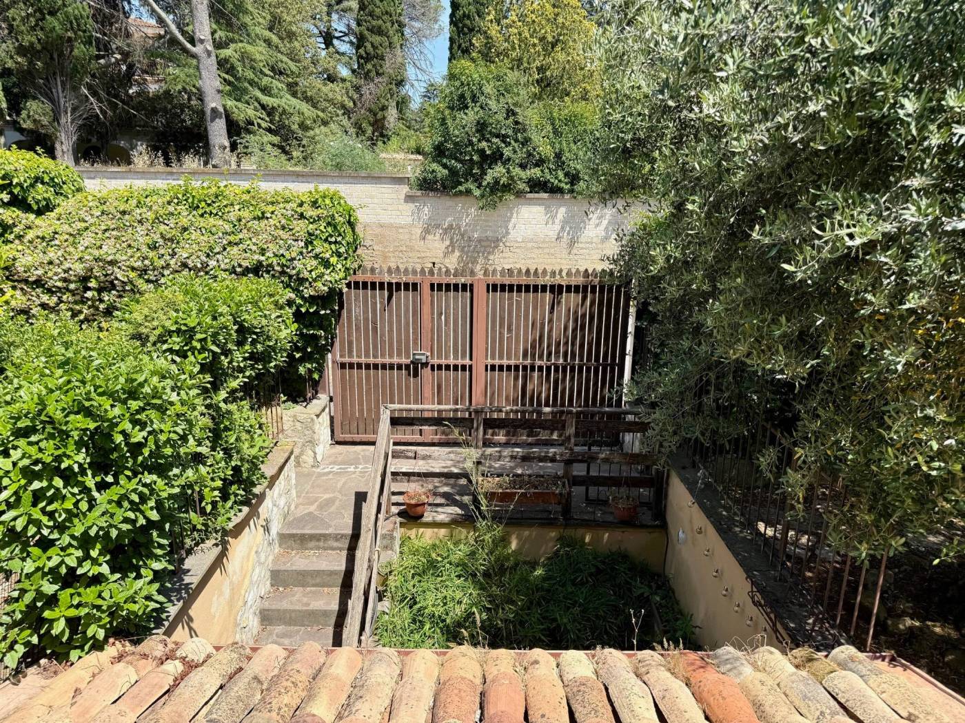 Giardino