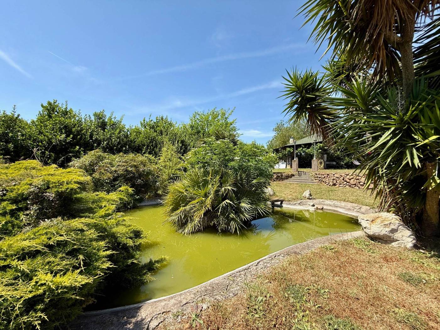 Giardino