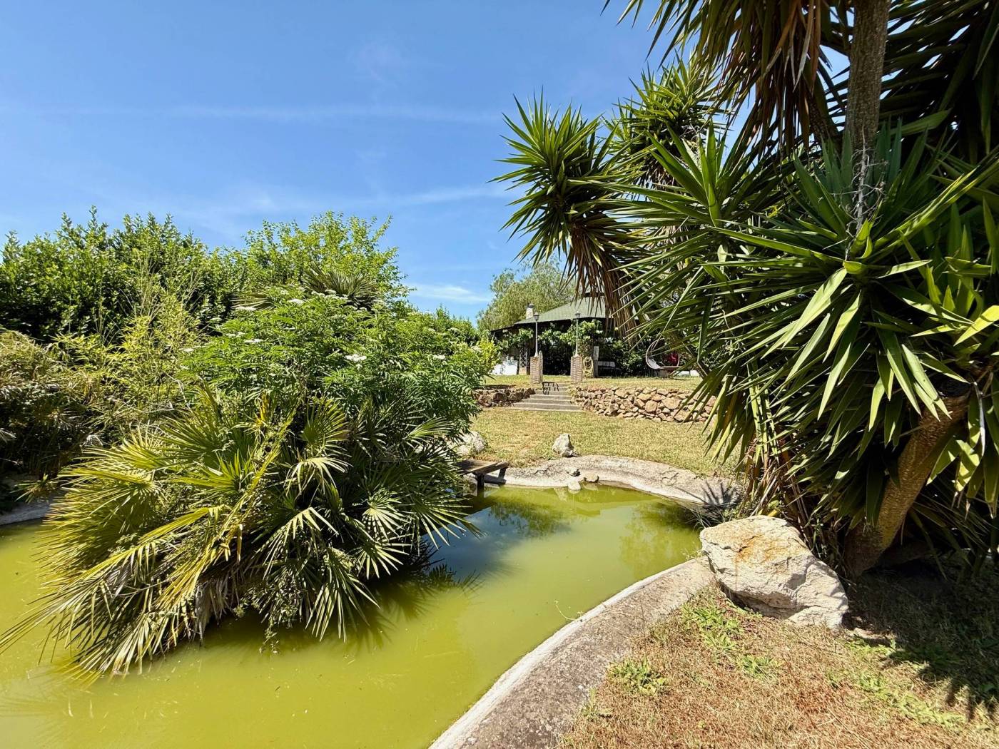 Giardino