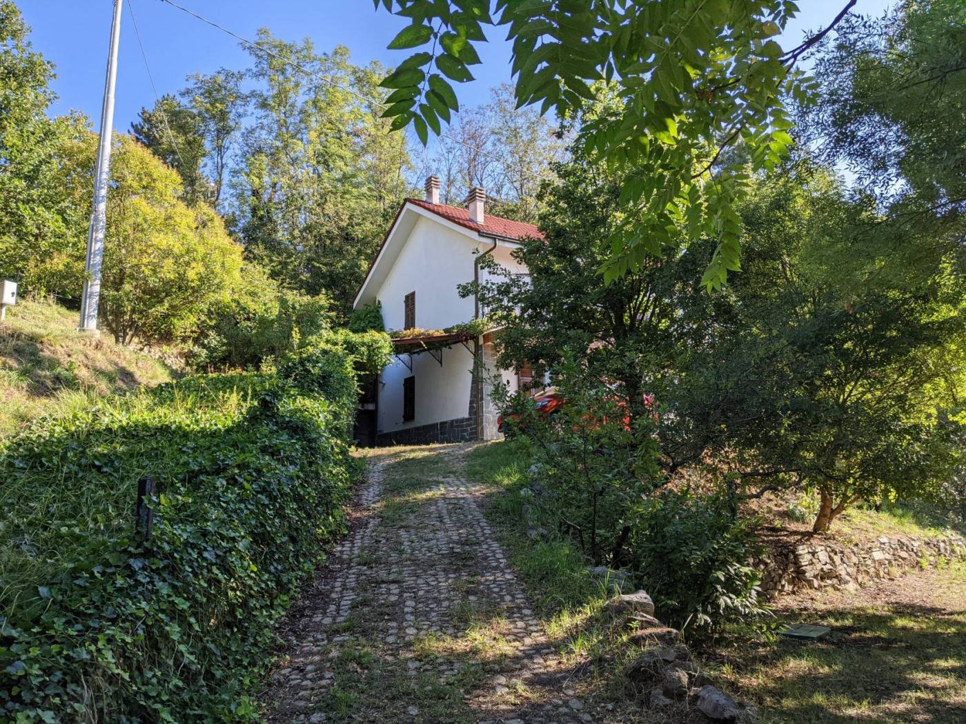 Giardino