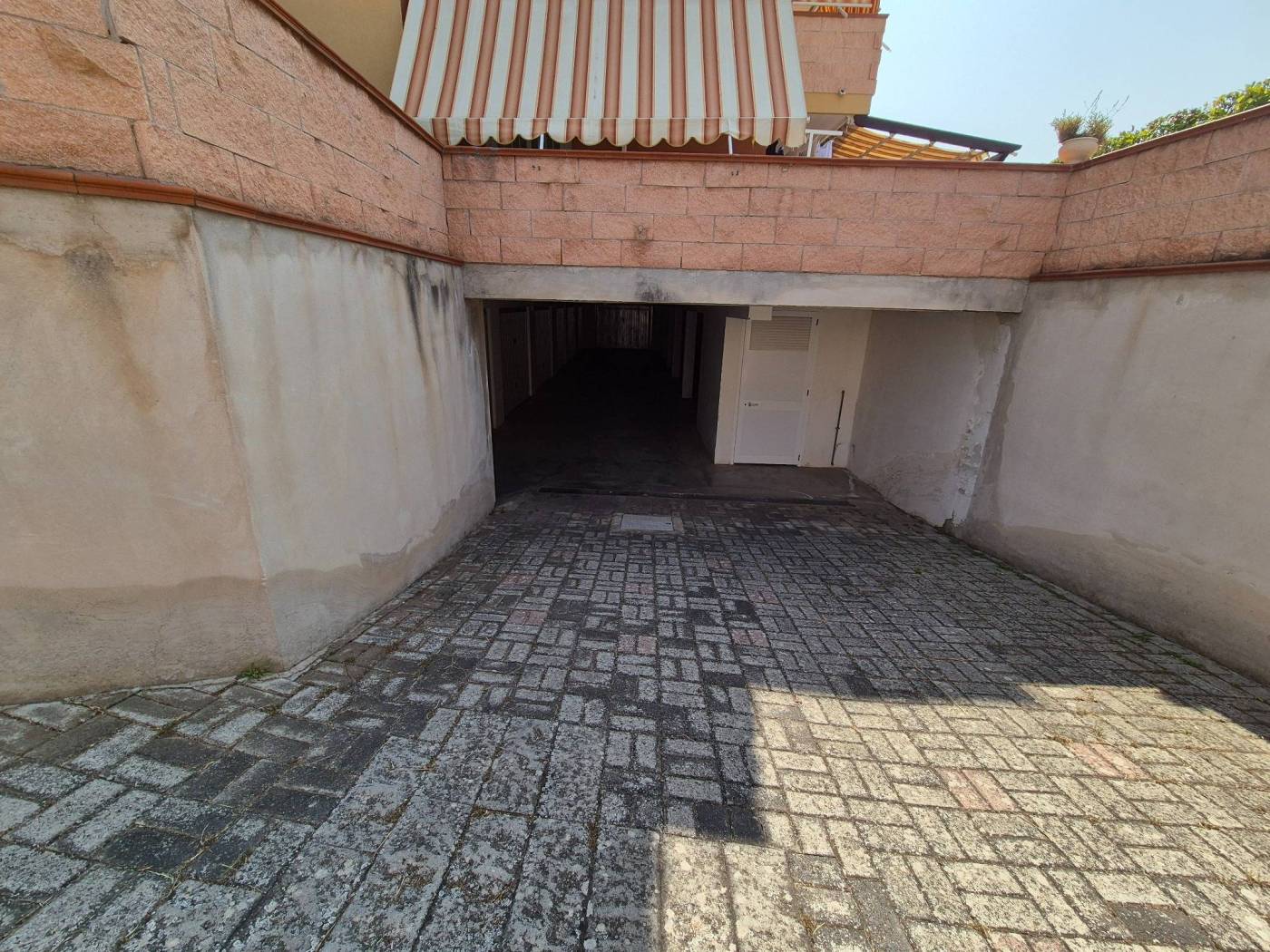 Ingresso