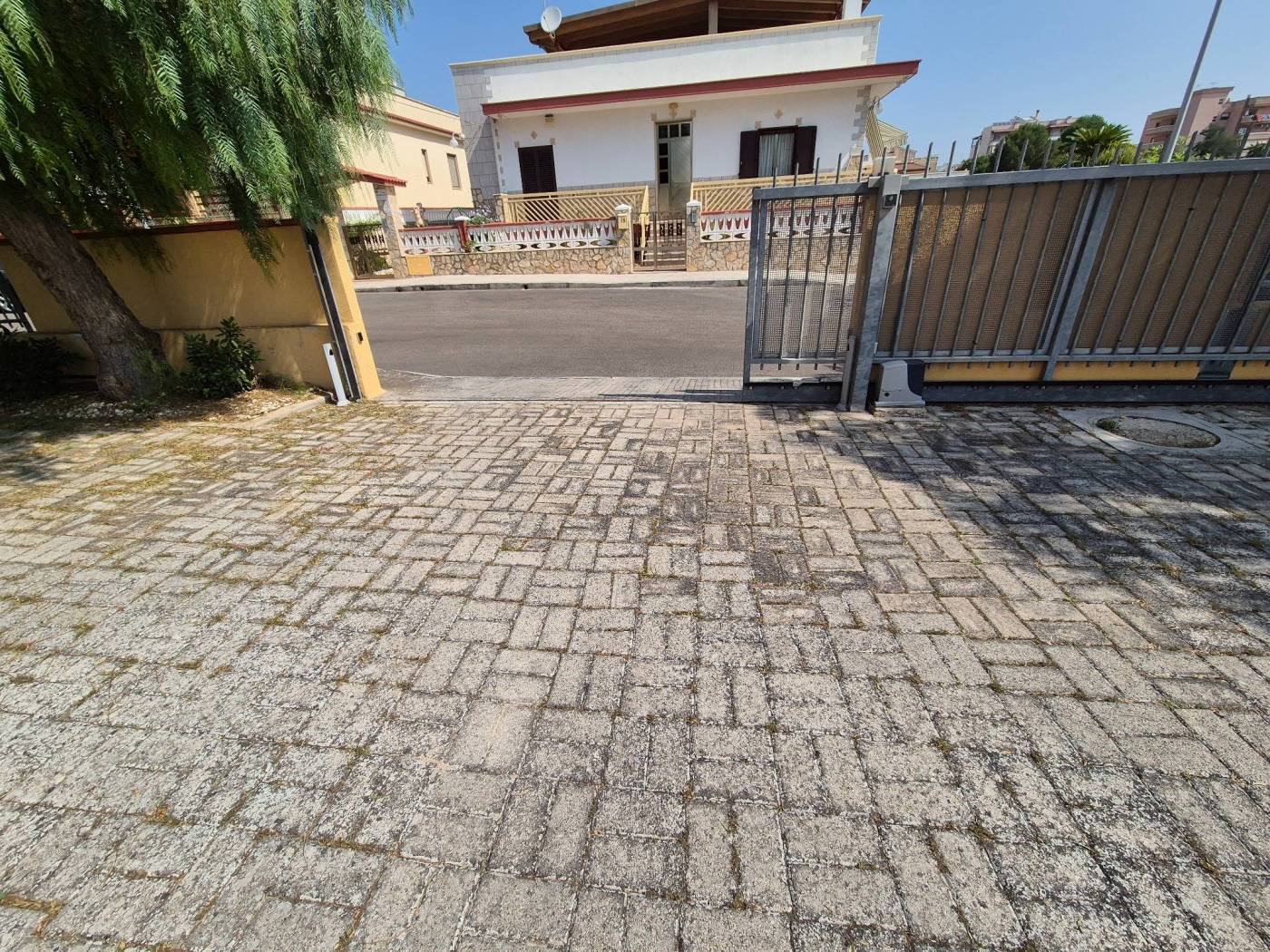 Ingresso