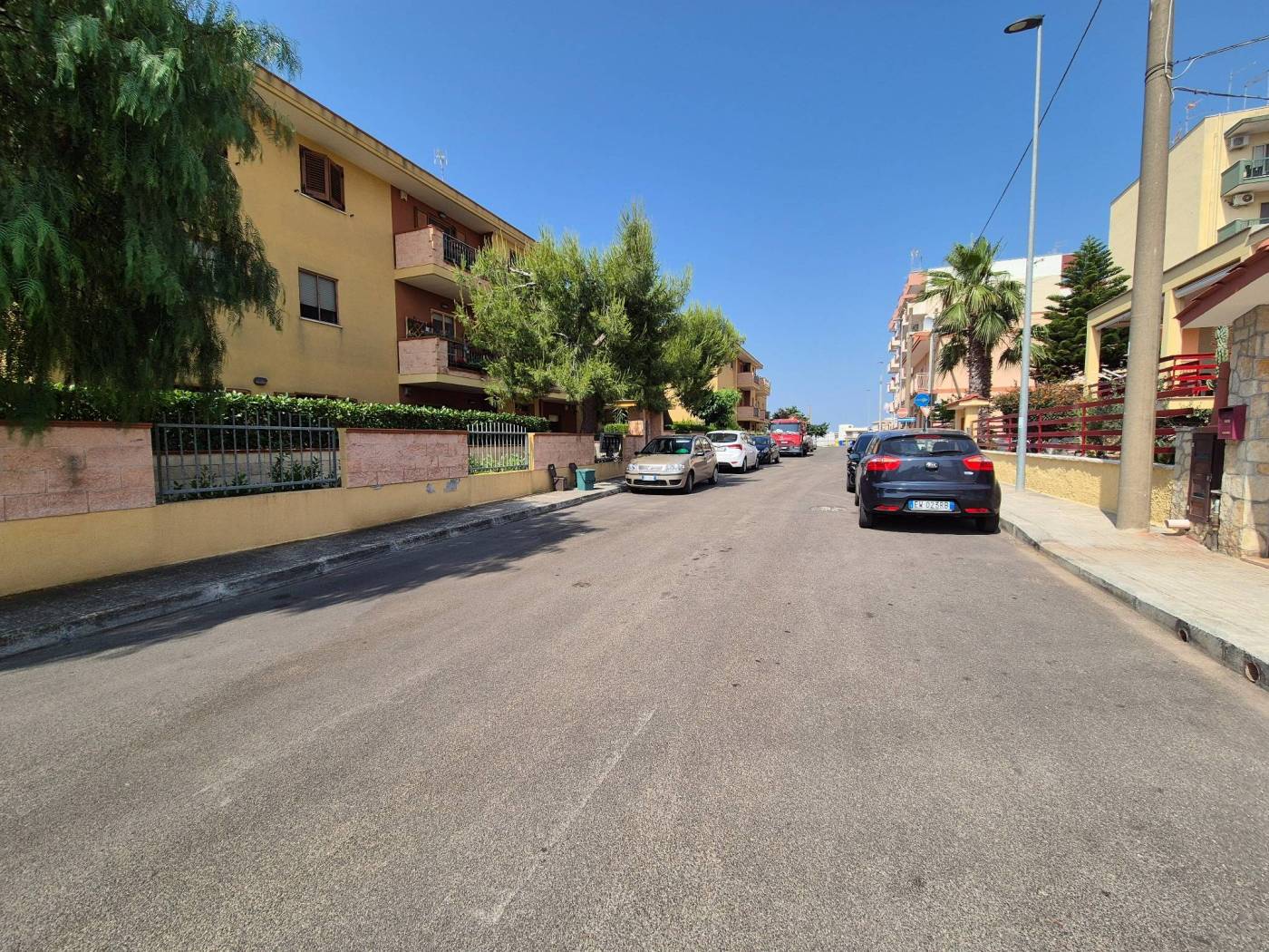 Zona