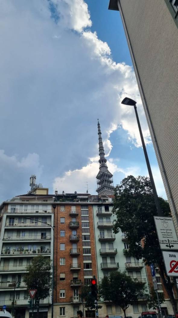 Zona