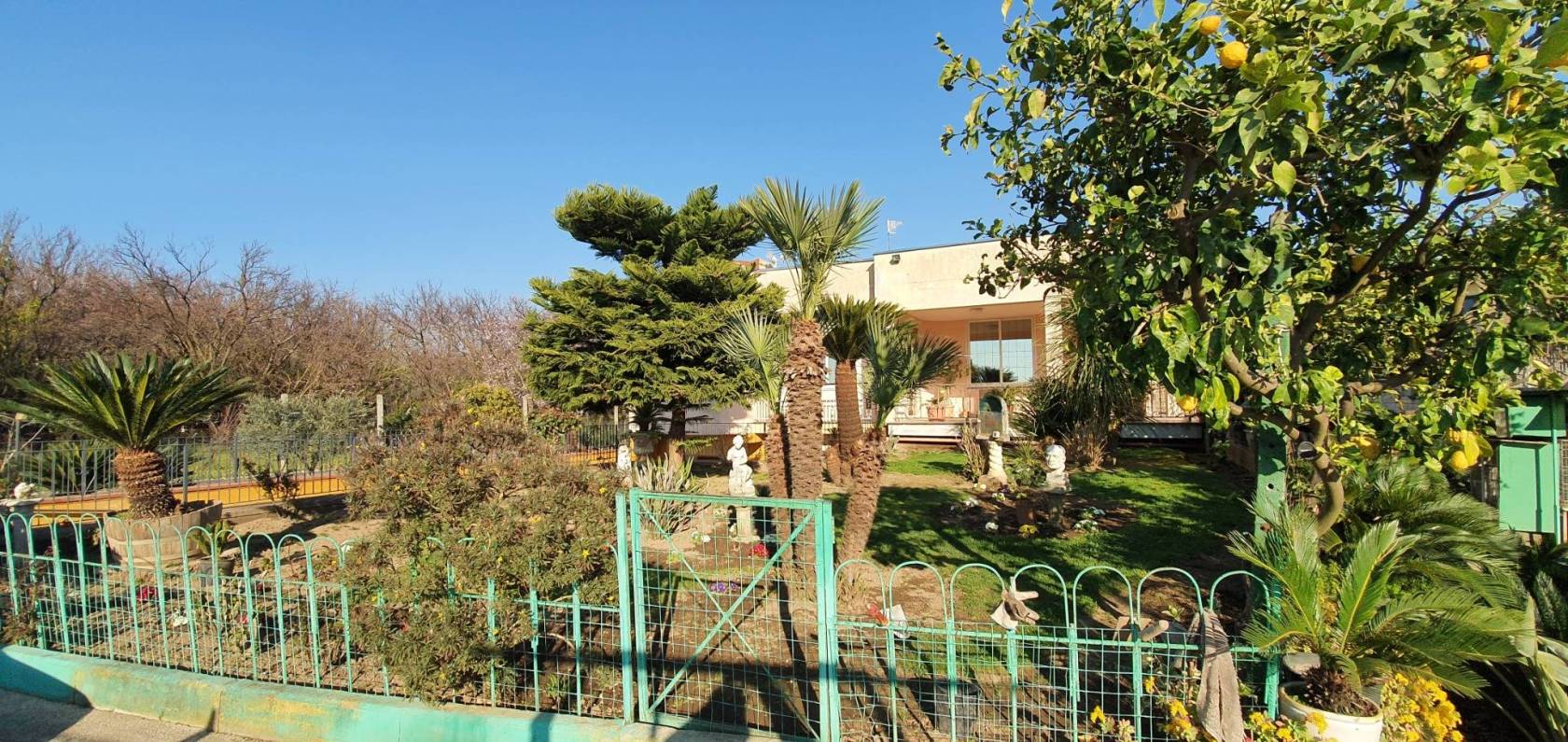 Giardino