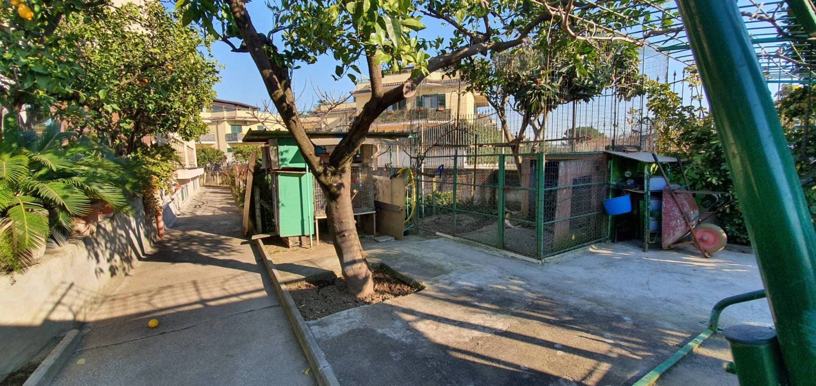 Giardino