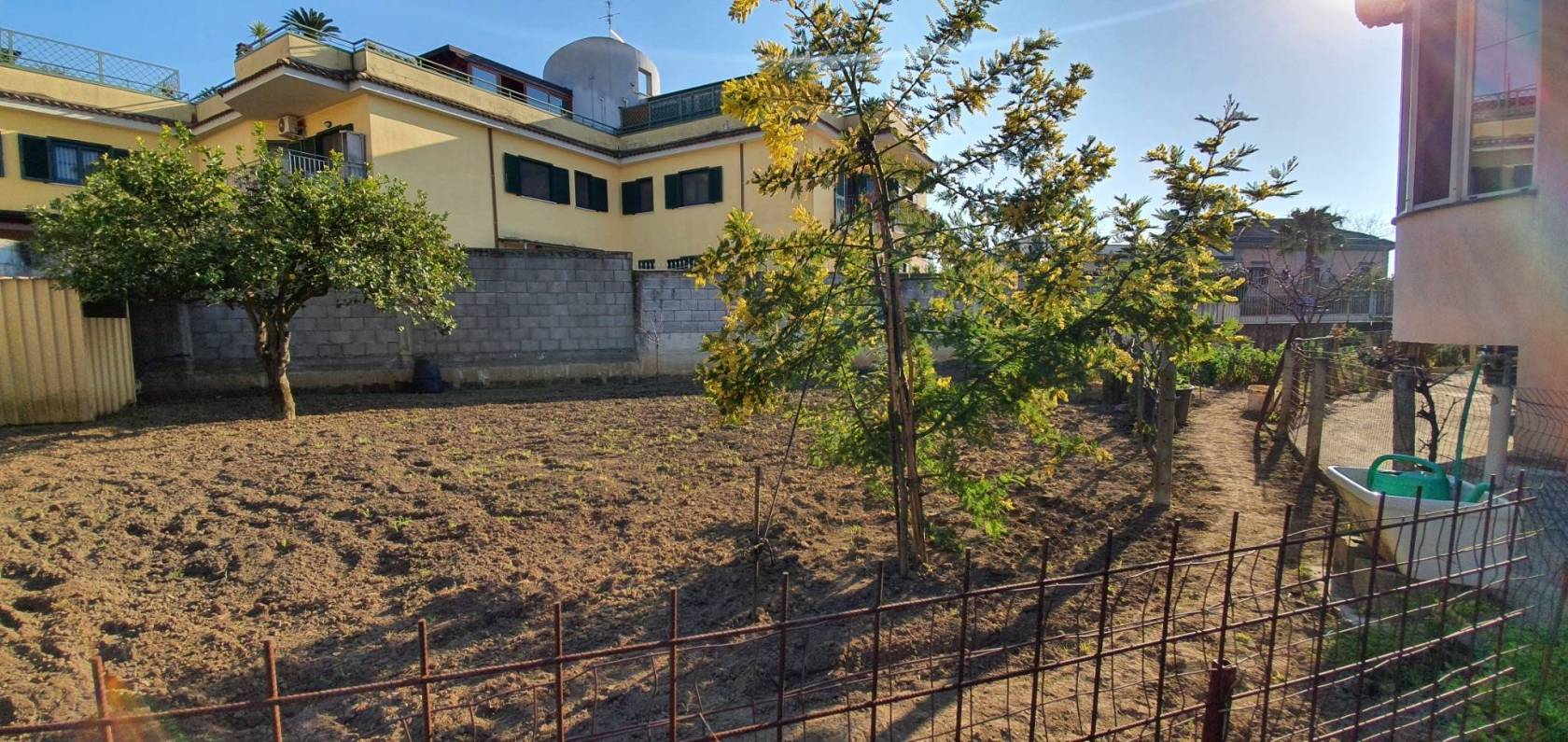 Giardino