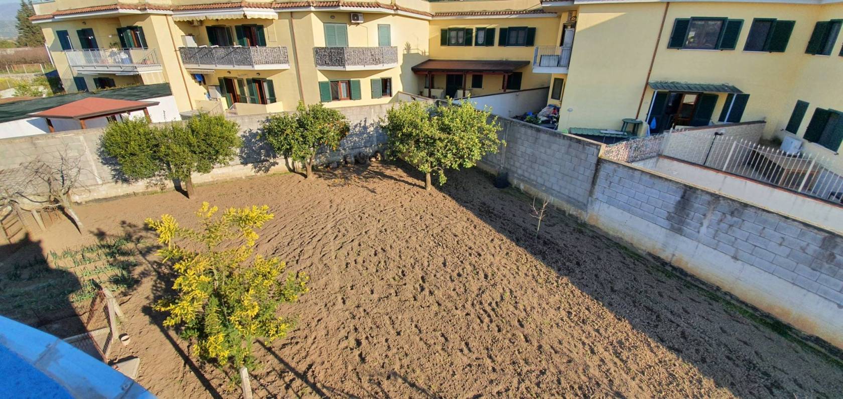 Terreno