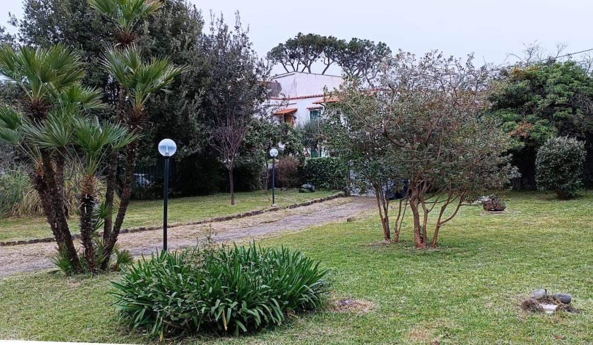 Giardino
