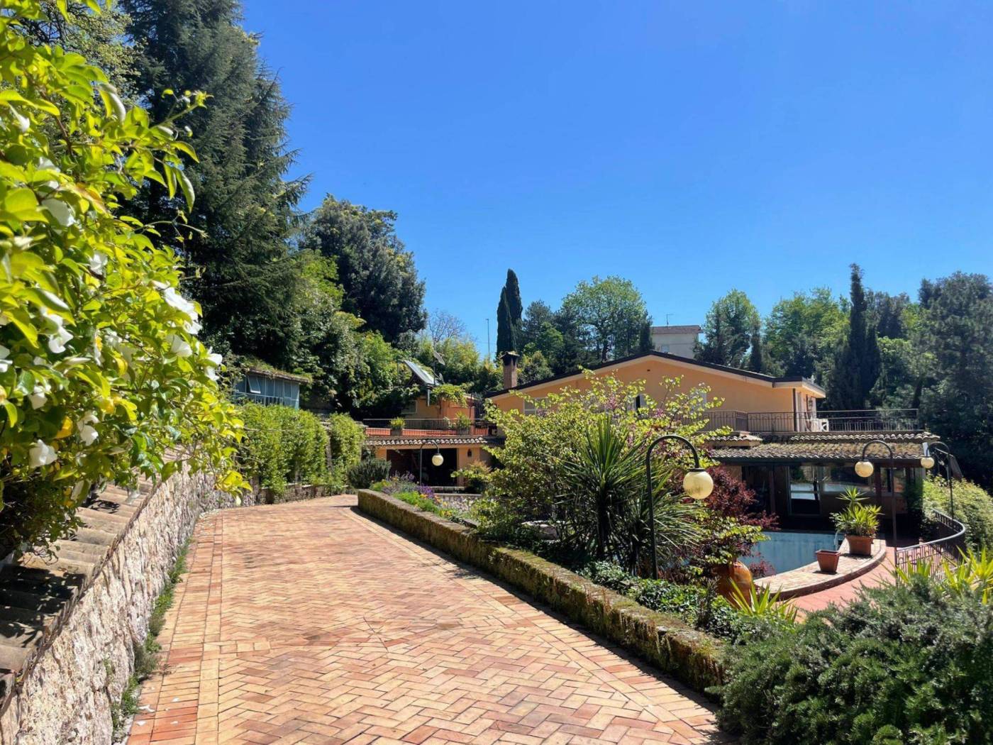 Giardino