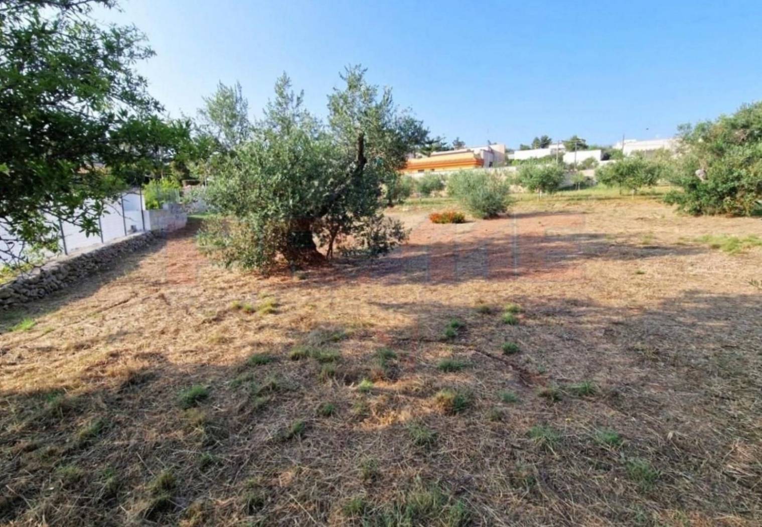 Terreno