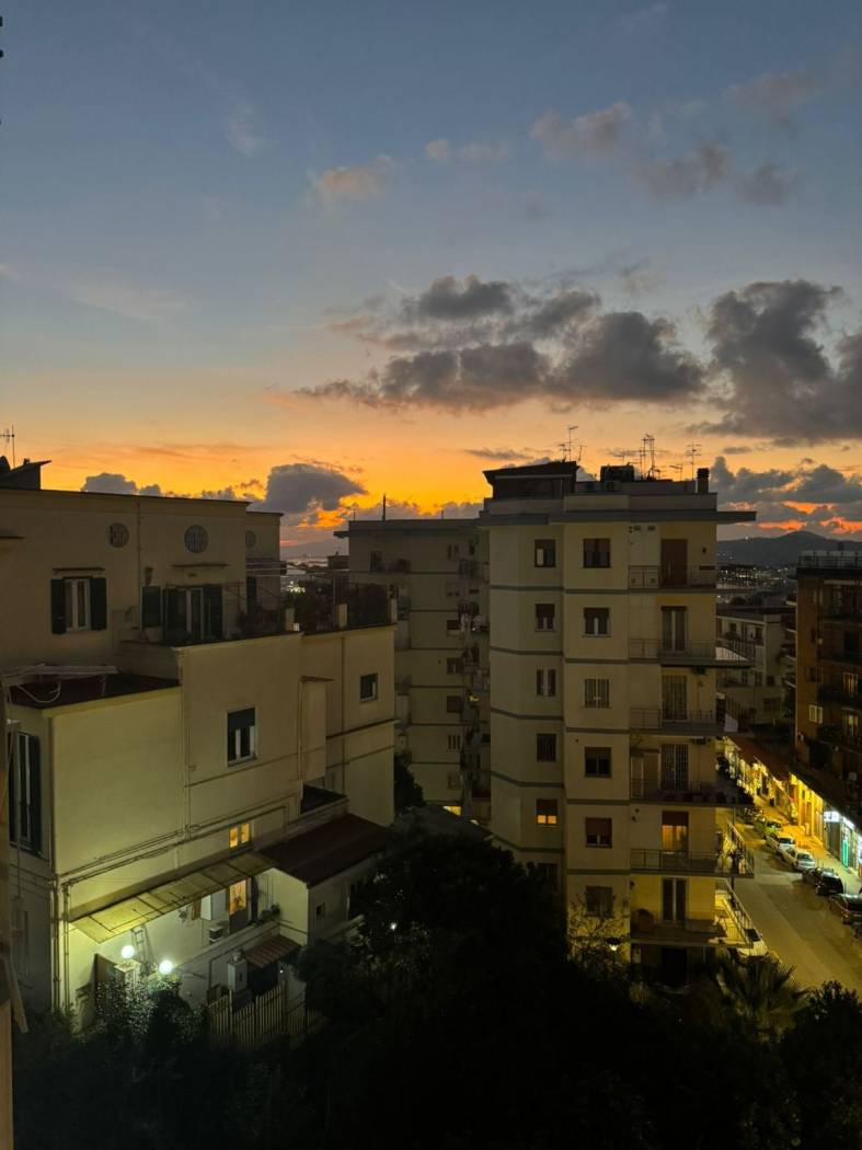Vista
