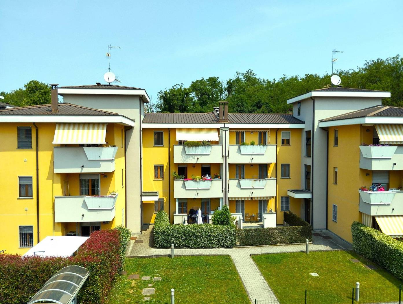 Vista