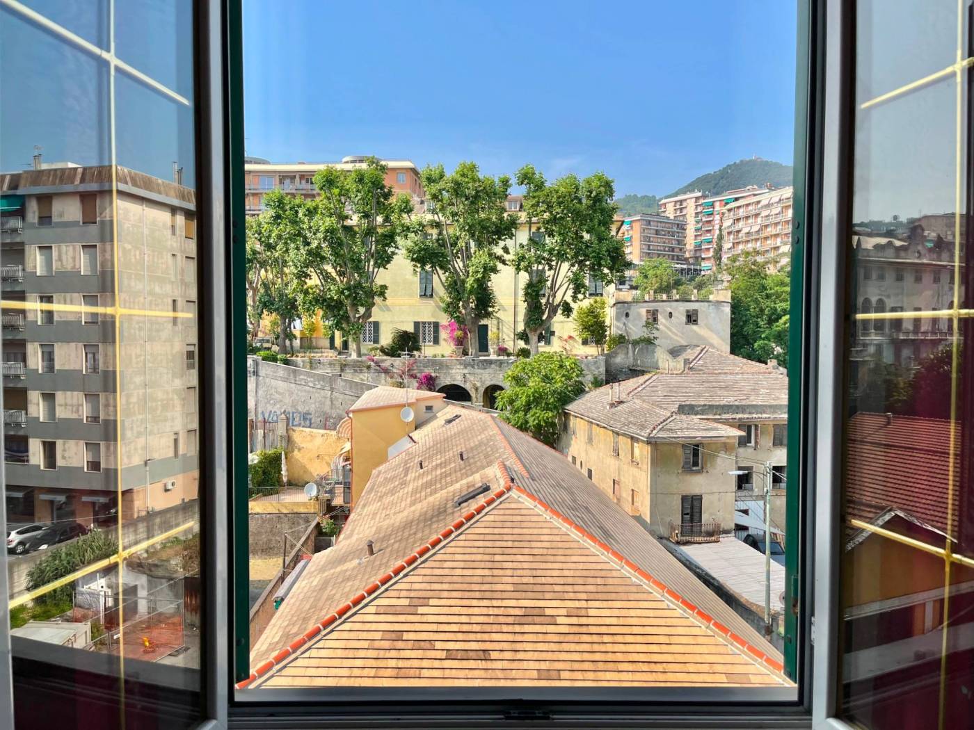 Vista