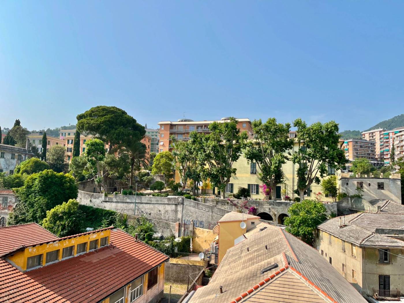 Vista